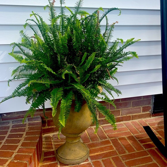 Meet your Posher, KW - Picture 1 of 1